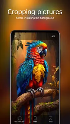 Parrot Wallpapers 4K android App screenshot 2