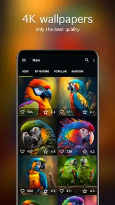 Parrot Wallpapers 4K android App screenshot 4