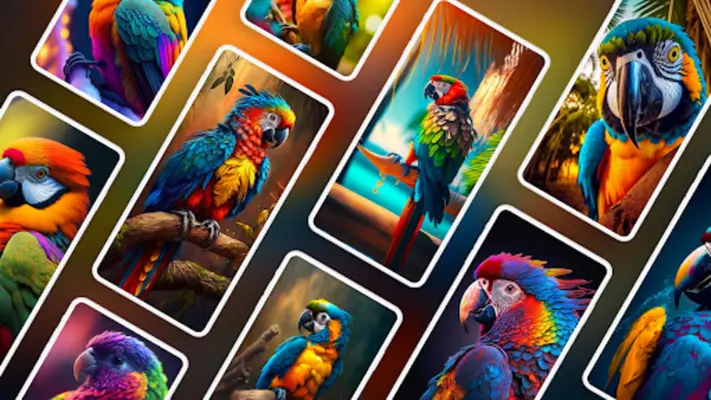 Parrot Wallpapers 4K android App screenshot 5